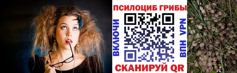 Псилоцибиновые грибы прущие грибы  Барабинск 